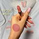 NP705 Помада для губ матова Matt Idole Neverti №102 (Pink Pramise)